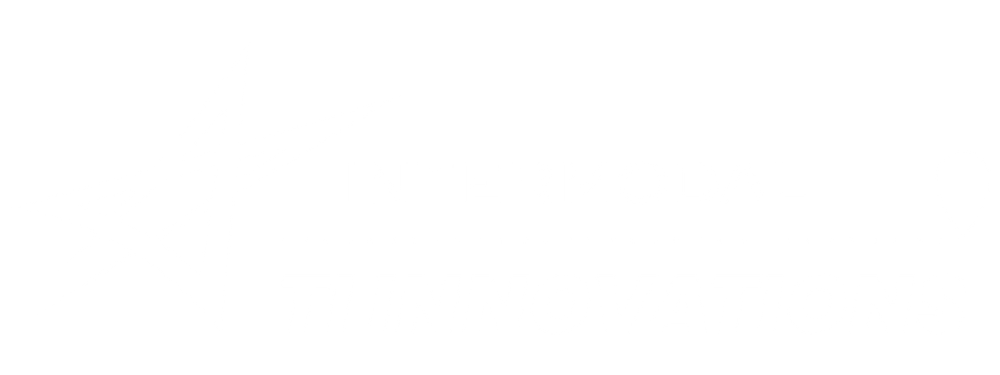 BRZ25IMS-Logo-TI-Innovations-Branco